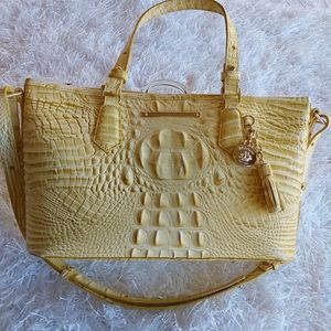 Brahmin Lemonade Mini Asher